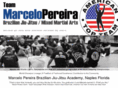 brazilianjiujitsunaples.com