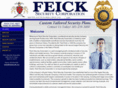 feicksecurity.com