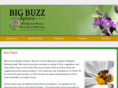 bigbuzzapiary.com