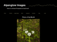 alpenglowimagesphotography.com