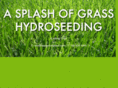 asplashofgrass.com