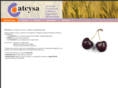 atcysa.com
