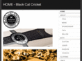 blackcatcricket.com