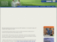 brainaneurysmcenter.com