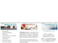 gsinfraport.com
