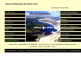 hoehne-forst.de