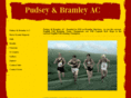 pudseybramley.com