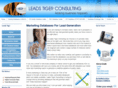 leadstiger.com