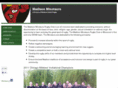 madisonminotaurs.com