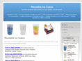 reusableicecubes.net