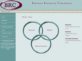 businessresearchconsultants.com