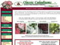 classiccaladiums.com