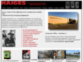 haigesmachinery.com