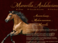 maravilla-andalusians.com