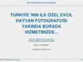 petfotografcisi.com