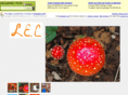 lecarter.com