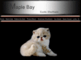 maplebayexotics.com