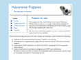 newyorkhavanese.com