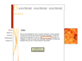 solutionz123.com