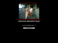 telavivlimousine.com