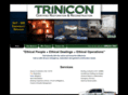 triniconllc.com
