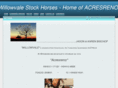 willowvalestockhorses.com