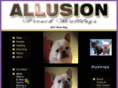 allusiondogs.com