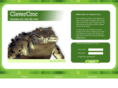 clevercroc.com