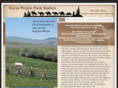 horseprairiepackstation.com