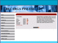 recargapinless.com