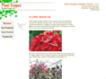 theplantscapes.com