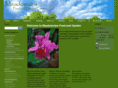 meadowviewfeedandgarden.com
