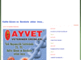 ayvet.com