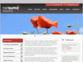 netsumo.com