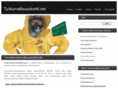 xn--tyturvallisuuskorttikoulutus-31c.net