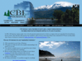 cbiins.com