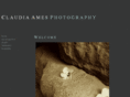 claudiaamesphotography.com