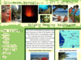vanuatudivingtrips.com