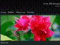 annamarifosque.com