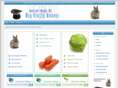 bigfluffybunnys.com