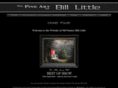billlittleart.com