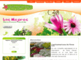 centroamericanadeflores.com
