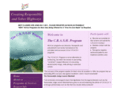 thecrashprogram.com