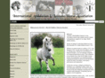 andalusianauction.com