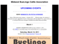 midwestbuelingo.com
