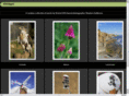sgimages.co.uk
