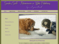 sundrystuff.com