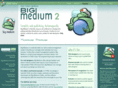 bigmedium.com