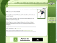 die-fussballschule.com