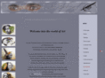 johnbaselmans.com